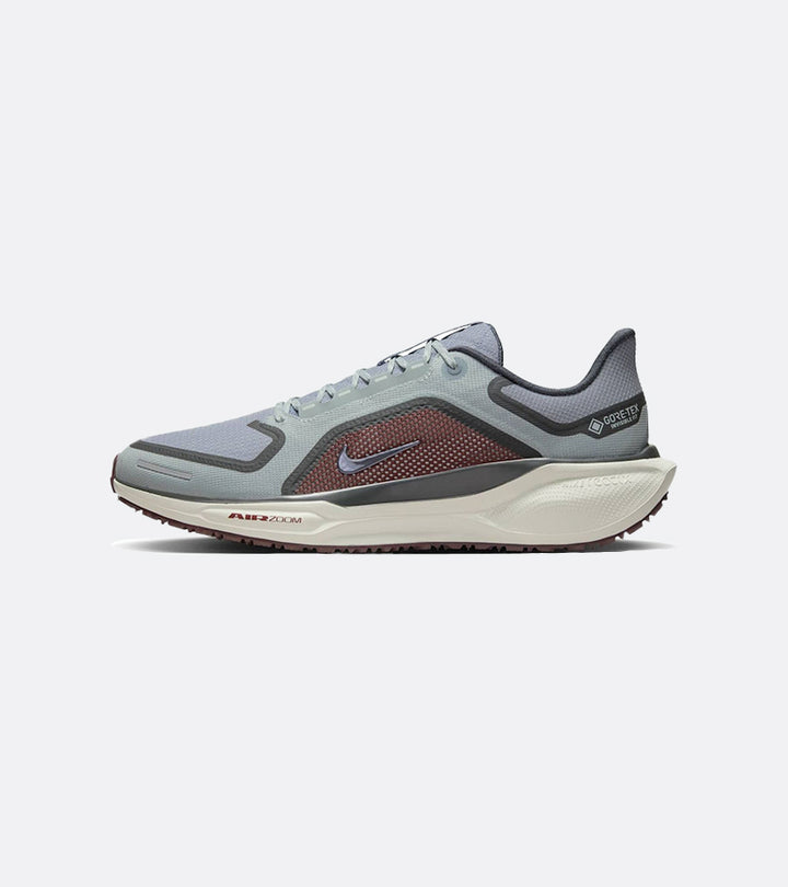 Nike Pegasus 41 GORE-TEX